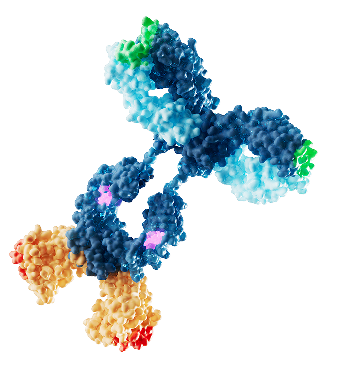 Pharma Navigator B 遷断薬編 Our Science — Navigator Medicines